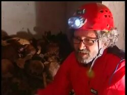 A team of investigators in Italy is trying to figure out how one of Italy''s greatest artists, Caravaggio, died 400 years ago. News Clip