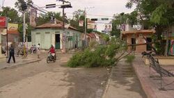 A fallen tree lies in  a village street. Stock Footage