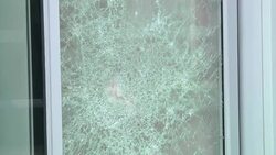 Aftermath of scuffles at Legislative Council, protesters react News Clip