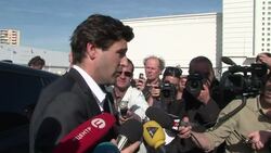 CLEAN : PIP implants a mega trial News Clip