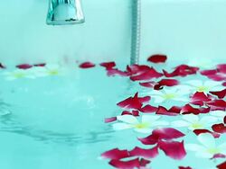 Bathtub and rose petals Stock Footage