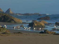 West Coast. Pacific Ocean. Stock Footage