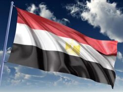 Egyptian Flag Stock Footage