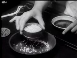 Mr Mikimoto thanks his lucky oysters. News Clip