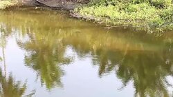 Water fall swaying in wind Stock Footage