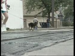 USA: MICHIGAN: PRESIDENT CLINTON'S WHISTLESTOP TRAIN TOUR UPDATE (2) News Clip