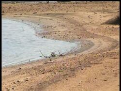 DV GA Water War News Clip