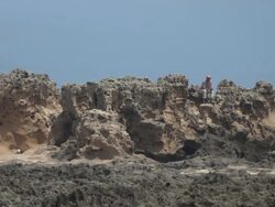 man sitting on rocky shoreline Stock Footage