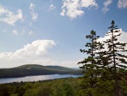 two trees and conifer lake | timelapse Stock Footage