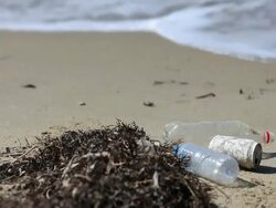 HD: Environmental Pollution Stock Footage