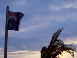 Australian flag and palm tree in the wind Stock Footage