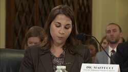 Suicide Prevention Efforts for Vets Examined News Clip