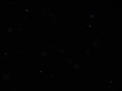 Dust Particles 1 Stock Footage