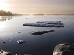 Sunrise Stock Footage