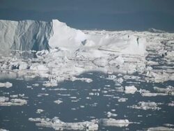 WS T/L View of icebergs moving in icy water / Ilulissat, Greenland Stock Footage