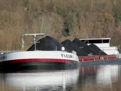  MS Cargo vessel passing through saar river / Taben-Rodt, Hesse, Germany Stock Footage