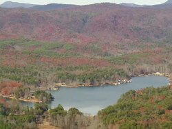WS AERIAL View of houses surrounded by forest area / South Carolina, United States Stock Footage
