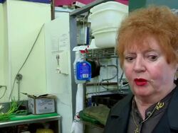 South Boston reacts to capture of Whitey Bulger Stock Footage