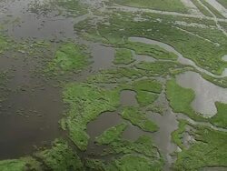 Briere Marshes Stock Footage