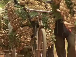 The convoy of tolekas on the way to the city Stock Footage