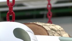 CLEAN : Jeff Koons gets major retrospective in Paris News Clip