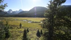 Pan of high alpine meadow Stock Footage