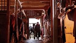 DS Rancher leading his horse into its stall Stock Footage
