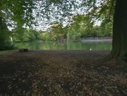 STEADYCAM: Park Stock Footage