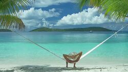 video of a woman swinging in hammock at the beach Stock Footage