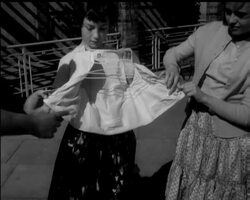 AQUATIC ANTICS News Clip