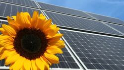 Solar Panel and a sunflower Stock Footage