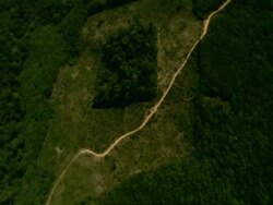 WA Aerial view of rainforest, showing area of deforestation with square of forest standing in isolation, Brazil Stock Footage