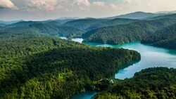 AERIAL: Plitvice Lakes Landscape in Croatia Stock Footage