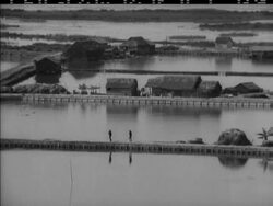 KUNG HEI FAT CHOY News Clip