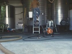 WS Man climbing up ladder in tank room of winery / Zillah, Washington, USA        Stock Footage