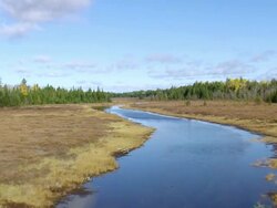 WS ARIEAL View of Meandering river / Maine, United States Stock Footage