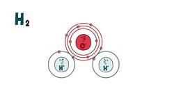 TED-Ed: How do geckos defy gravity? - Eleanor Nelsen Instructional Video