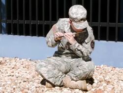 Veterans Day Parade Winds Through Miami Beach Stock Footage