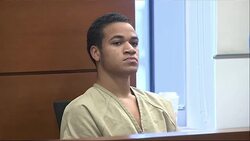 Parkland Suspect's Brother Pleads No Contest News Clip