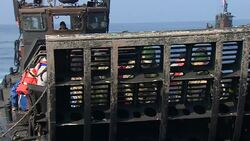 Migrants being helped aboard rescue boat News Clip