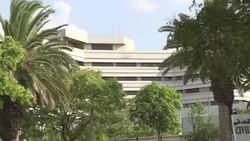 CLEAN : Analysis of crashed Russian jet black boxes begins in Cairo News Clip