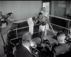 MR WHITE PANTS News Clip