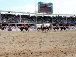 MS Show at Calgary Stampede / Calgary, Alberta, Canada  Stock Footage