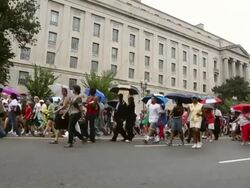 Obama, Former Presidents Commemorate 50th Anniversary Of MLK's March On Washington Stock Footage