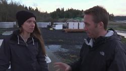 Exploring the Effects of Ocean Acidification on Earth Instructional Video