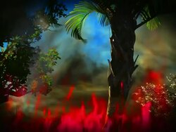 Savannah fire Stock Footage