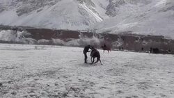 CLEAN : Pakistan Buzkashi game faces final whistle News Clip