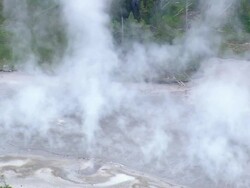 MS AERIAL View of Norris Geyser Basin and broken trees / Wyoming, United States Stock Footage