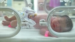 New born in nursery after childbirth Stock Footage