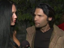 NSF, The Humane Society And GQ Magazine Join Forces To Stop Puppy Mills Stock Footage